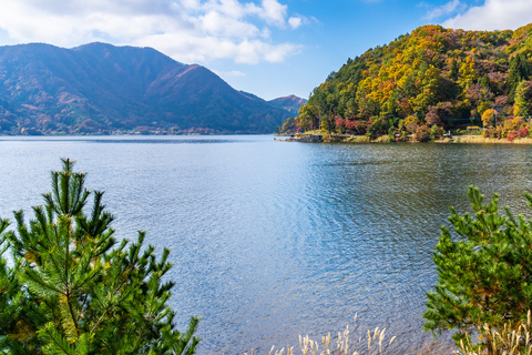 Tokyo: Nikko Kegon Falls Lake Chuzenji Toshogu Temple & More From Tokyo: Nikko Unesco Customised Private Tour In Prado