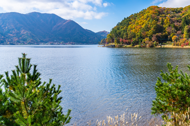 Tokyo: Nikko Kegon Falls Lake Chuzenji Toshogu Temple & More From Tokyo: Nikko Unesco Customised Private Tour In Prado