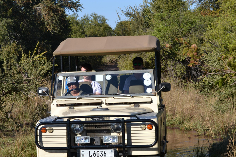 Livingstone: Recorridos de caza y paseo en rinoceronteLivingstone: Safari en el hermoso PN Mosi-Oa-Tunya