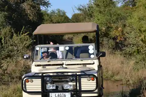 Livingstone: Game Drives & Rhino Walk