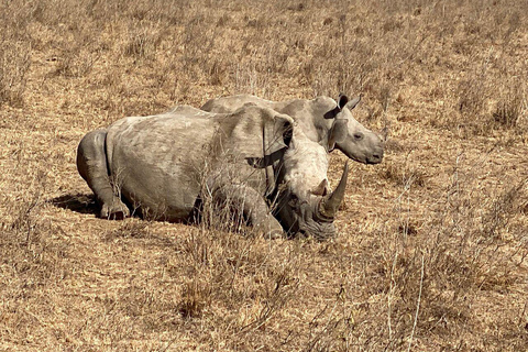 Depuis Nairobi : Parc national, centre pour bébés éléphants et girafes