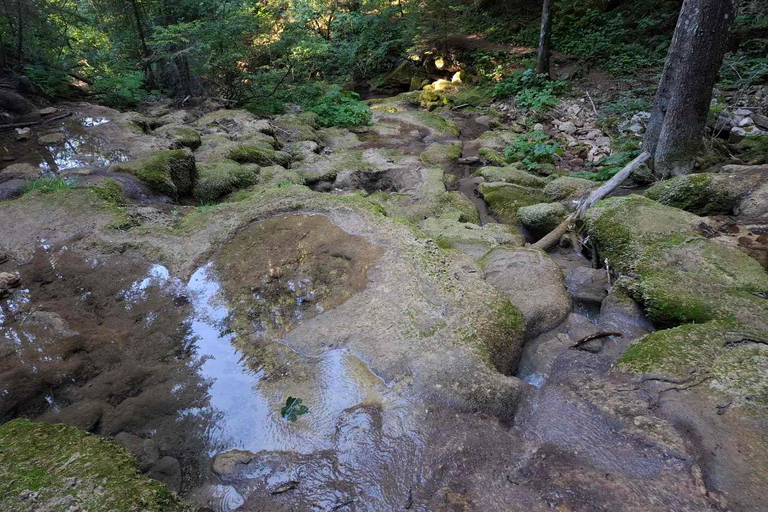 Sarajevo: Vrelo Miljacke River Source Eco Tour