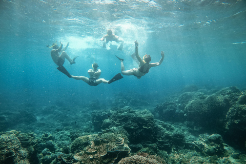 De Gili Air : Snorkeling com tartarugas e estátua subaquáticaViagem de Snorkeling em Grupo - 5 Horas