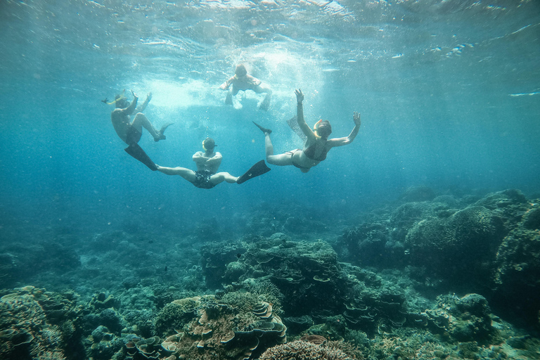 De Gili Air : Snorkeling com tartarugas e estátua subaquáticaViagem privada de snorkeling - 4 horas