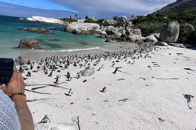Cape of Good Hope, Chapman's Peak Drive, Penguins , Seals