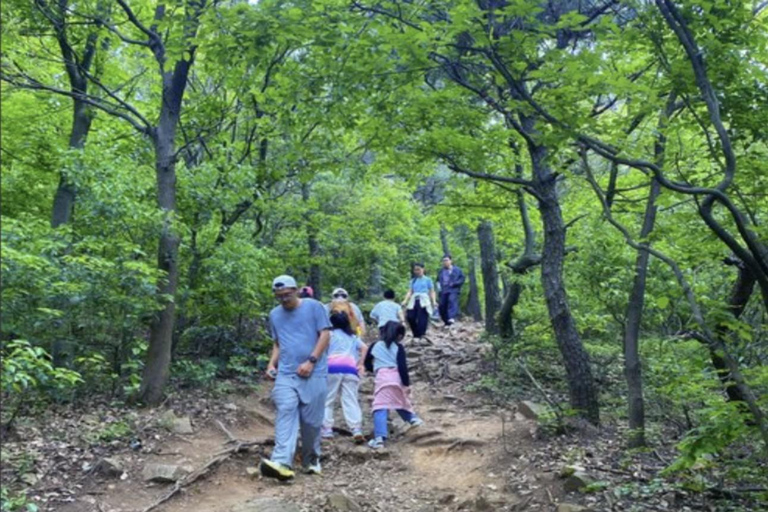 Shanghai: Huishan Ancient Town & Tai Lake Private Day Trip