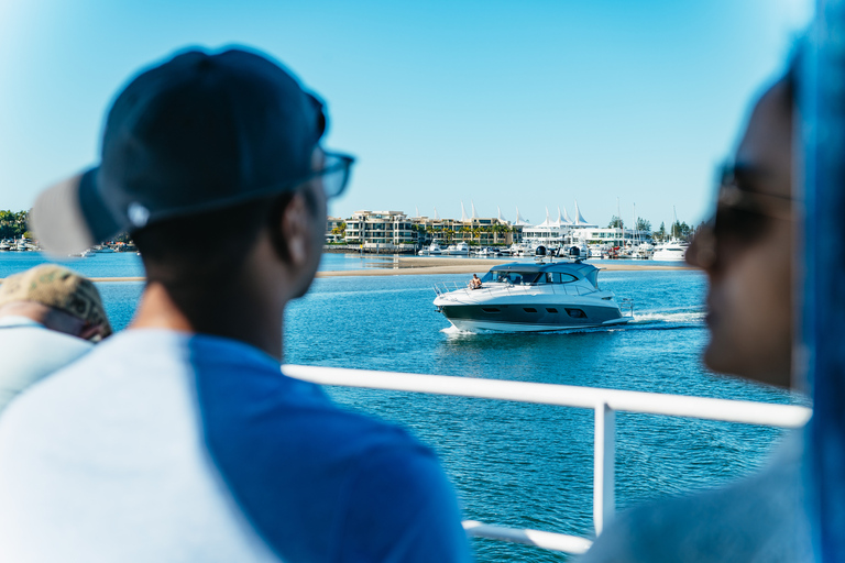 Spirit of Gold Coast 2.5-Hour Whale Watching Tour