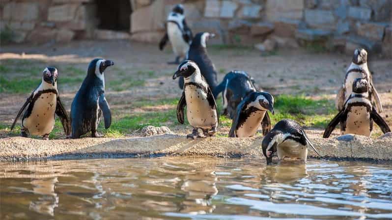 Athènes Parc zoologique de l'Attique et jardin national d'Athènes
