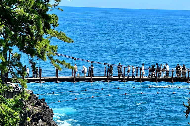 Small Group Day Tour:Omuro Mountain & the Izu Scenic Railway Hotel Transfer Option