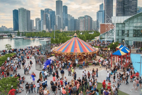 Lo más destacado del centro de Chicago Tour a pie privado