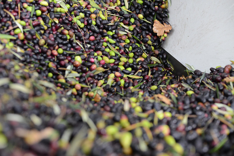 Montpellier:Journée Huile d'Olive, Vin, St Guilhem le Désert