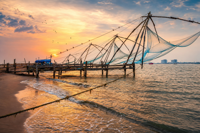 Kochi: Fort Kochi and Mattancherry Tuk-Tuk Heritage Tour