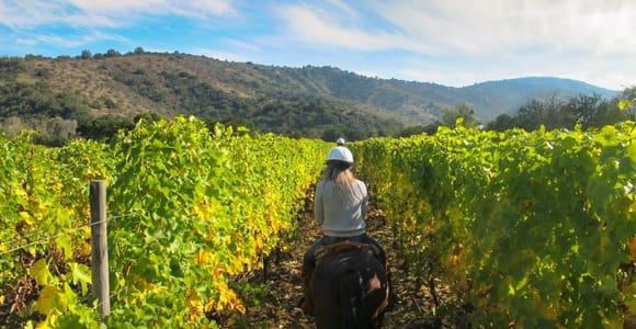 Tuscany: Horseback Riding Adventure with Lunch in a Winery