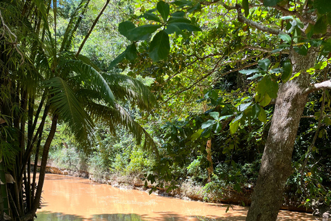 San Juan - Arecibo : expédition dans le Midwest, chutes d'eau et plage
