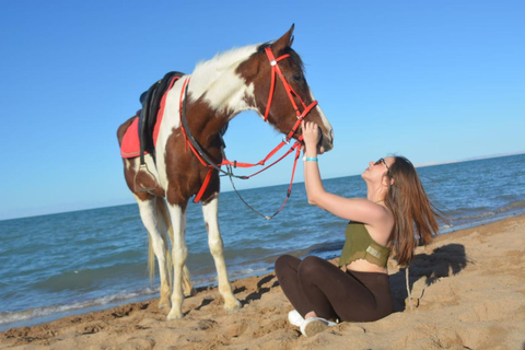 Hurghada: 1 HR Red Sea Swimming with Horses with Transfers Exclusive Family Package – 1 HR with Swimming & Transfers