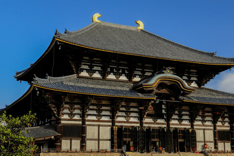 From Osaka/Kyoto: Kyoto & Nara Highlight Bus Tour with Lunch From Kyoto VIP Lounge (Meet at 8:50AM)