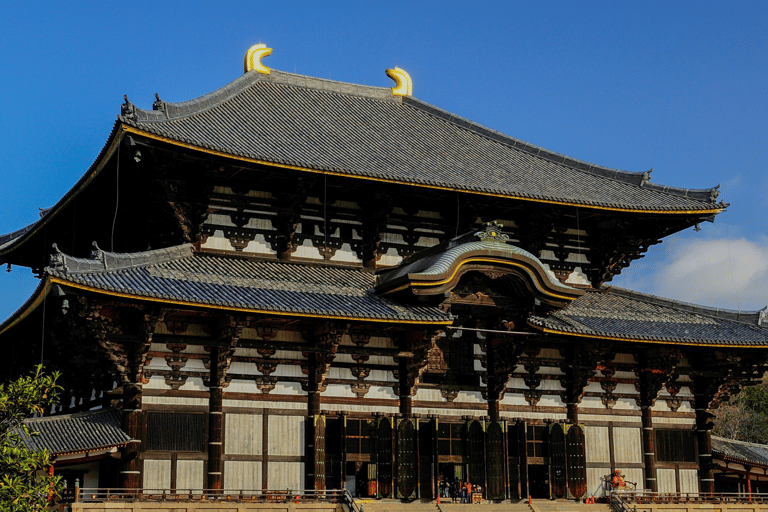 From Osaka/Kyoto: Kyoto & Nara Highlight Bus Tour with Lunch From Kyoto VIP Lounge (Meet at 8:50AM)