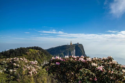 Chengdu: Leshan Buddha and Emeishan Guided 2-Day Trip
