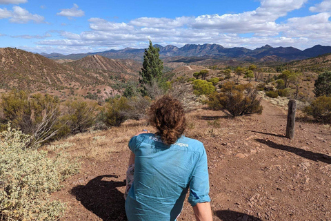 Au départ de Yulara : Circuit de 8 jours entre Uluru et AdélaïdeAu départ de Yulara : circuit de 8 jours entre Uluru et Adélaïde