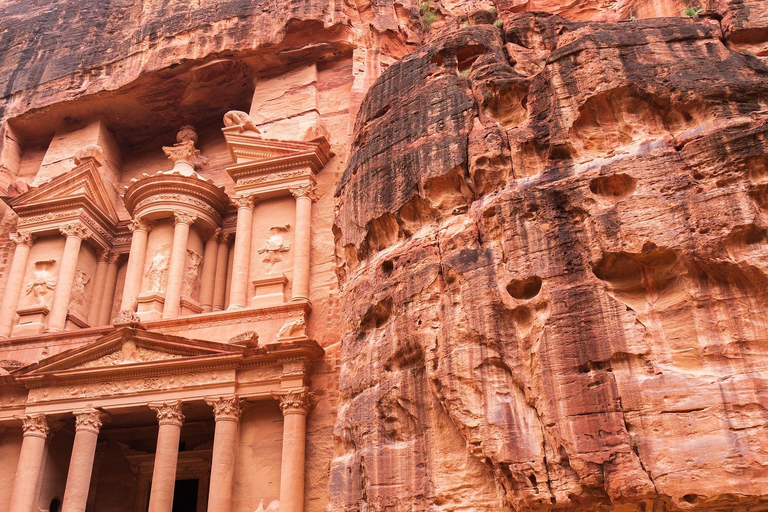 Da Amman: Tour privato di un giorno a Petra e Wadi RumTour con solo trasporto