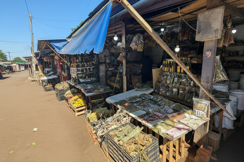 Authentic Paraguay: Monday Falls, Abastos Market, & Itaipu