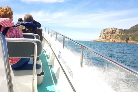 Knysna: Vida marinha e excursão à costa da Garden Route