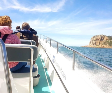 Knysna: Tour della vita marina e della costa della Garden Route