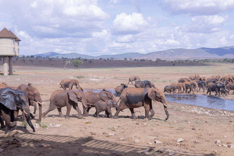 Safari de 3 días Taita Hills-Tsavo Oeste alojándote en Saltlick