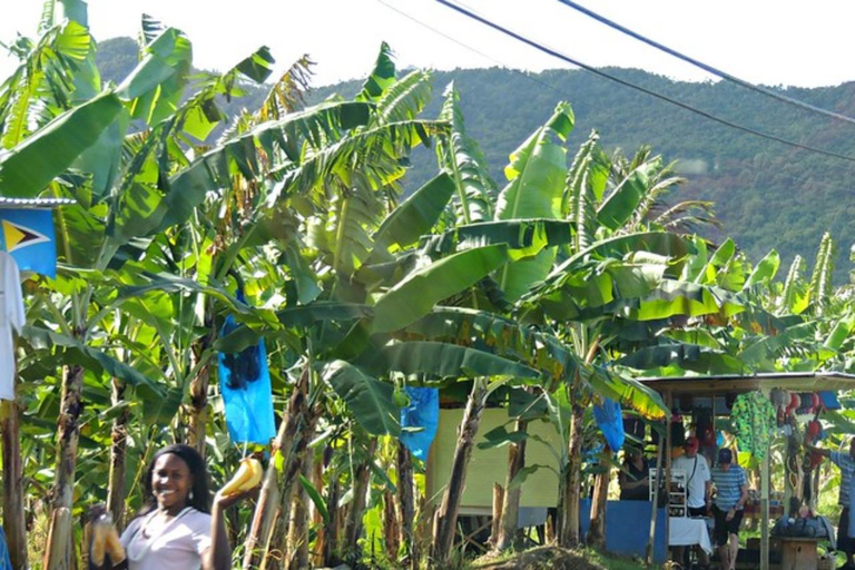 Saint Lucia: Całodniowa wycieczka na wyspę z lunchem