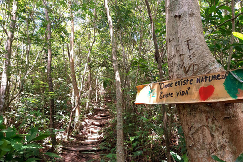 Sendero Morro Dois Irmãos: Ipanema, Lagoa y Pedra da Gávea