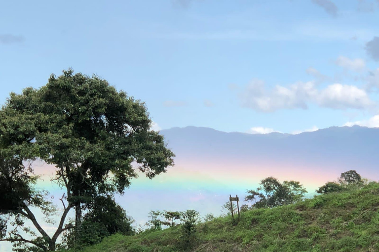 Medellín: Coffee Farm Tour Santa Bárbara, Antioquia (Share)