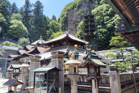 Nara: Führung durch den Hozan-ji-Tempel mit Seilbahnfahrt