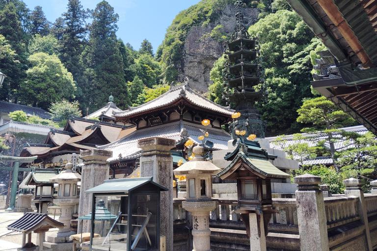 Nara: Führung durch den Hozan-ji-Tempel mit Seilbahnfahrt