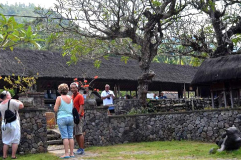 Bali : plongée avec tuba dans deux sites du Blue Lagoon, avec déjeuner et transportSnorkeling à deux sites dans le lagon bleu, rendez-vous au lieu de rendez-vous.