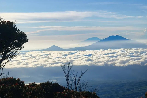 From Yogyakarta: Mount Sindoro Hiking Tour with Guide Mount Sindoro Hiking Camping 2D1N Tour with Guide