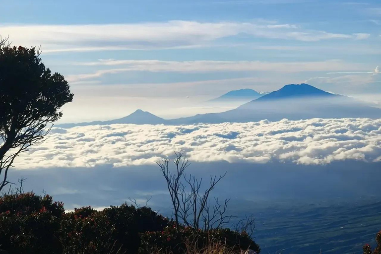 From Yogyakarta: Mount Sindoro Hiking Tour with Guide Mount Sindoro Hiking Camping 2D1N Tour with Guide