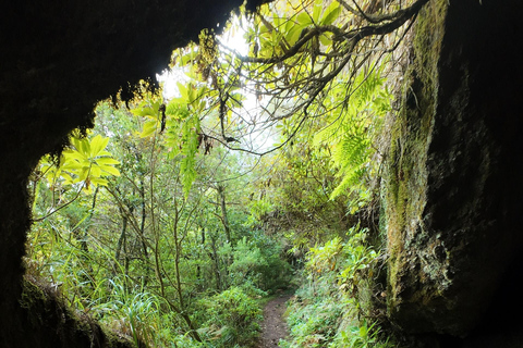 Madeira: PR17 Bica da Cana Encumeada Guided Hike with Pickup Madeira: Bica da Cana to Encumeada Guided Hike with Pickup