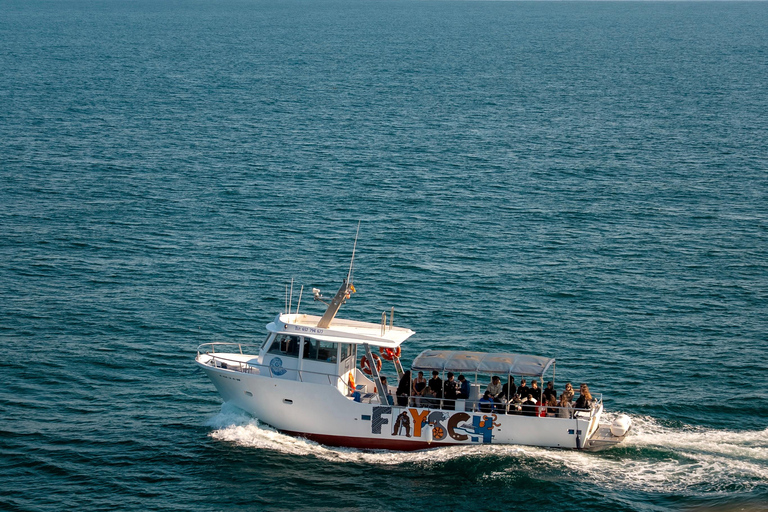 Basque Coast: Flysch Boat Tour or Walking Tour