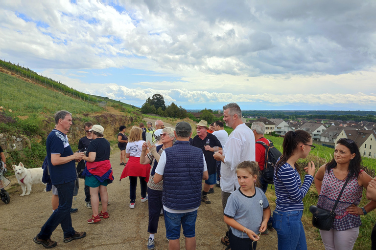 Kaysersberg Vineyard Discovery of the vineyard and wine, Domaine Meyer-Krumb Kaysersberg Vineyard Discover the vineyard and wine, Meyer-Krumb Estate