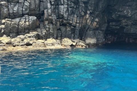 Funchal: Private Kreuzfahrt mit Schnorcheln und Paddleboarding