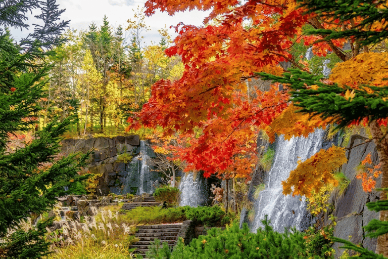 Sapporo: Hoheikyo Dam (丰平峡大坝), Jozankei & Outlet Tour