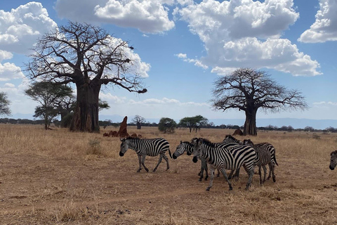 4-Day Tanzania Safari: Tarangire, Ngorongoro With Pickup