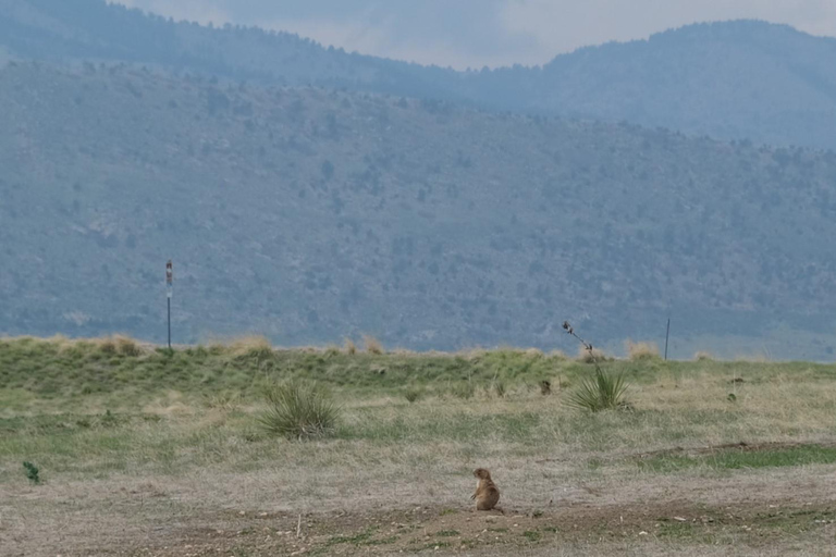 Red Rocks e Dinosaur Ridge em passeio de bicicleta elétricaRed Rocks and Dinosaur Ridge on E-Bike Tour