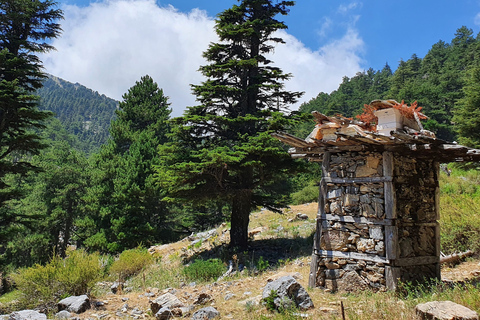 Hiking Tour At The Taurus Mountains of Alanya Meeting Point At The Bus Staion of Alanya (Otogar)
