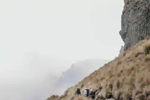 Depuis Puebla : Randonnée dans la région d'Iztaccíhuatl (tout compris)