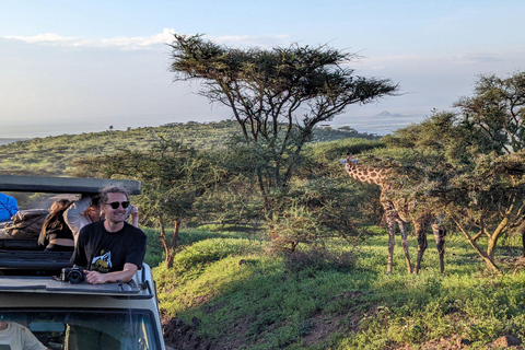 3 Tage Safari zum Tarangire, Ngorongoro und Lake Manyara Park