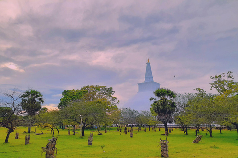 Sri Lanka : visite touristique de 4 jours avec 4 jours de plage