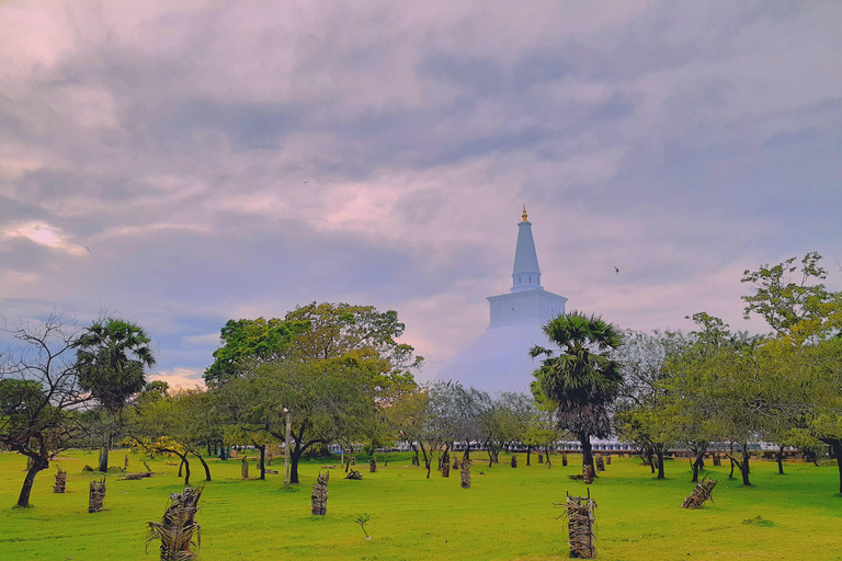 Sri Lanka: 4-dagars stadsvandring i antika städer