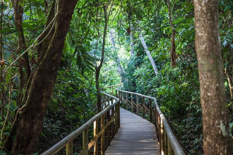 Manuel Antonio: Surfunterricht für alle - Costa Rica