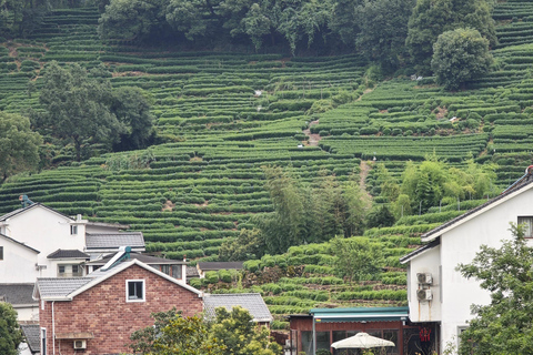 From Shanghai: Hangzhou Private Day Trip with Bullet Train